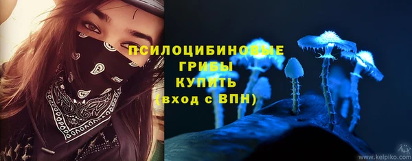 а пвп мука Абаза