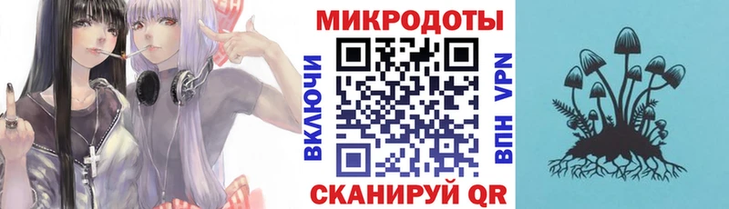 где купить наркоту  Алейск  kraken как войти  Галлюциногенные грибы мухоморы 